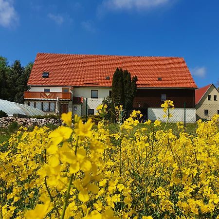 Alte Schaeferei Bad Gottleuba Villa Dış mekan fotoğraf