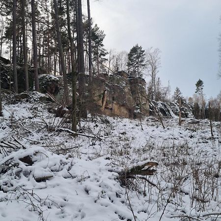 Alte Schaeferei Bad Gottleuba Villa Dış mekan fotoğraf