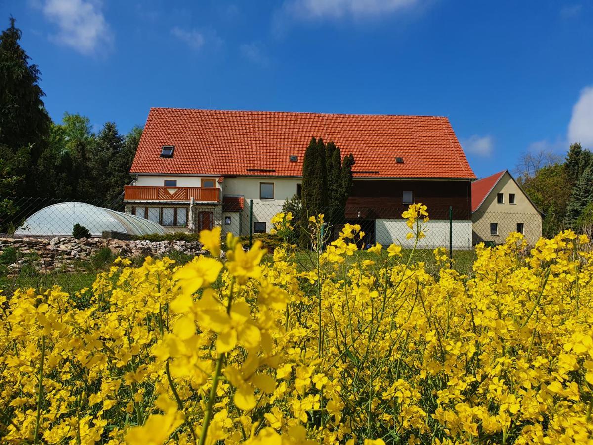 Alte Schaeferei Bad Gottleuba Villa Dış mekan fotoğraf